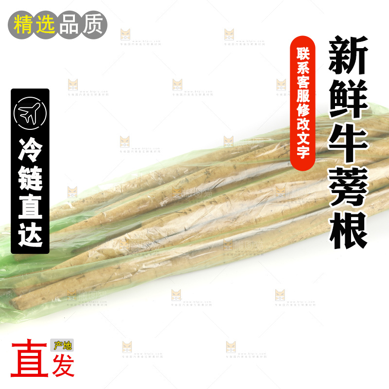 白底上的牛蒡根