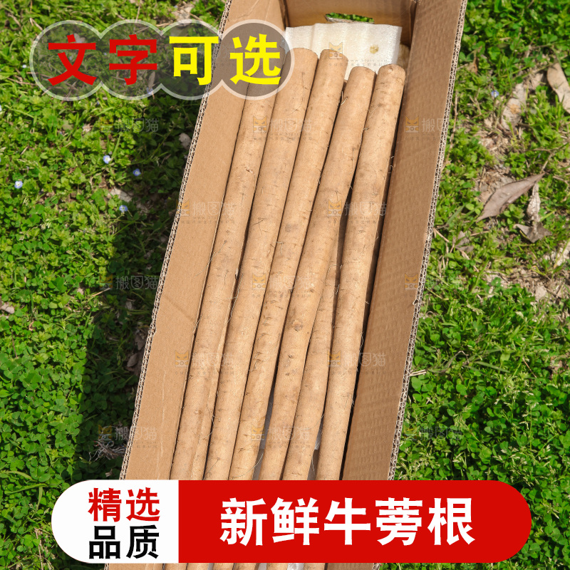 箱子里装着牛蒡根