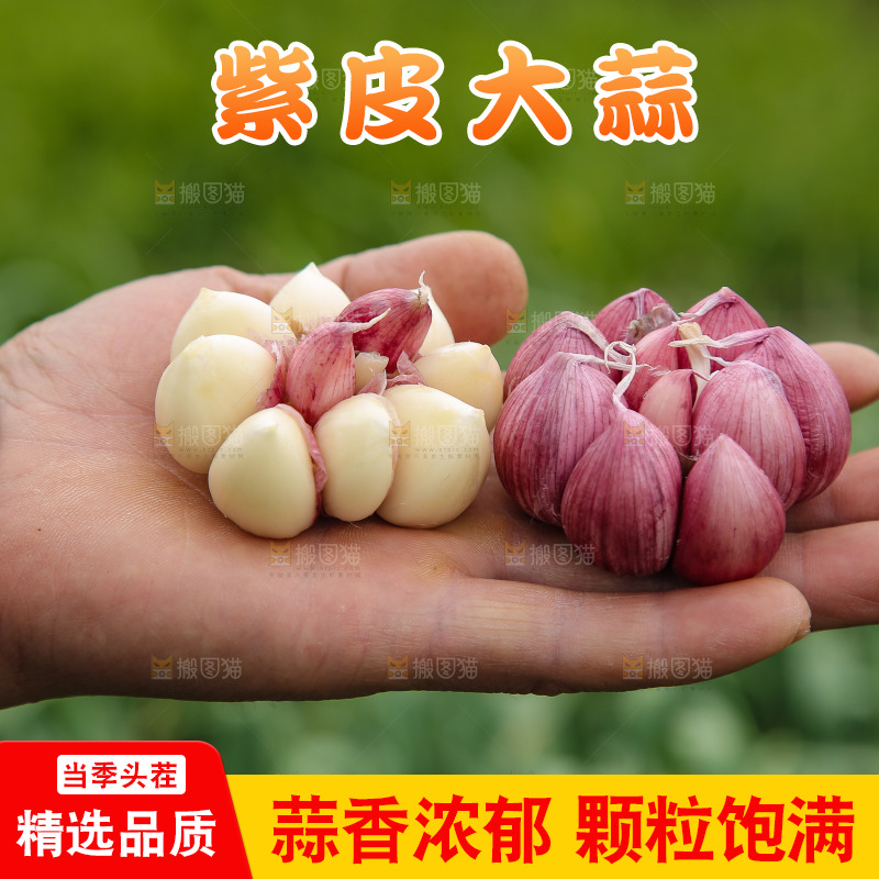 手里拿着多瓣蒜