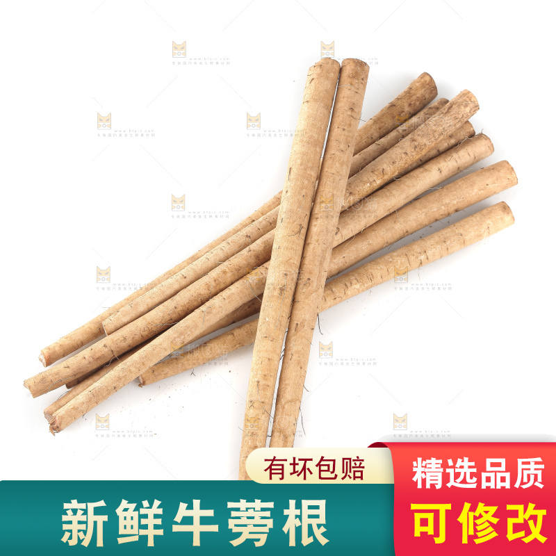 白底上的牛蒡根