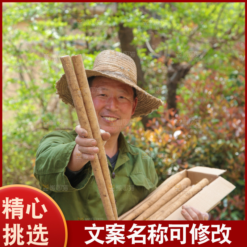 农民手里拿着一箱牛蒡根