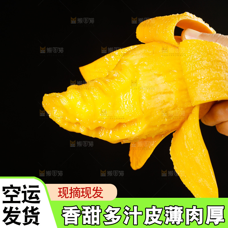 手里拿着金煌水仙芒