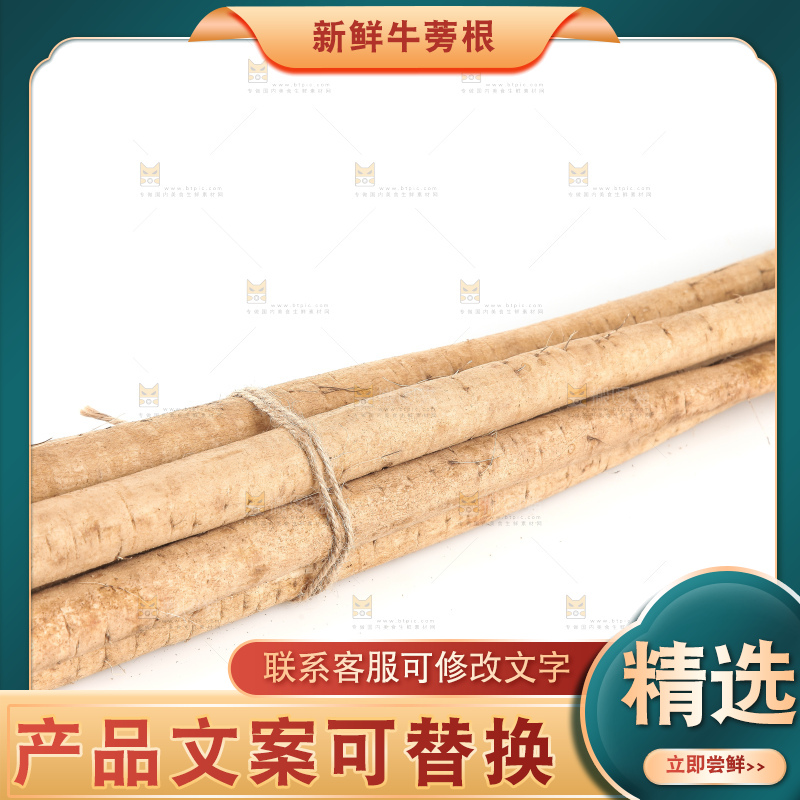 白底上的牛蒡根