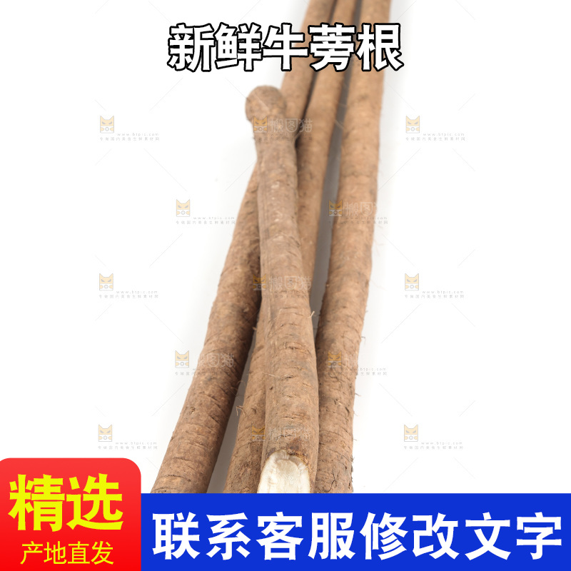 白底上放着鲜牛蒡