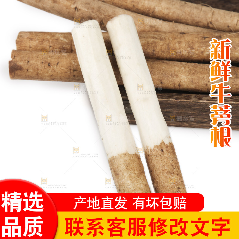 白底上放着鲜牛蒡