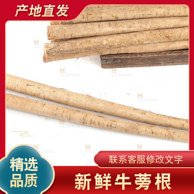 白底上的牛蒡根