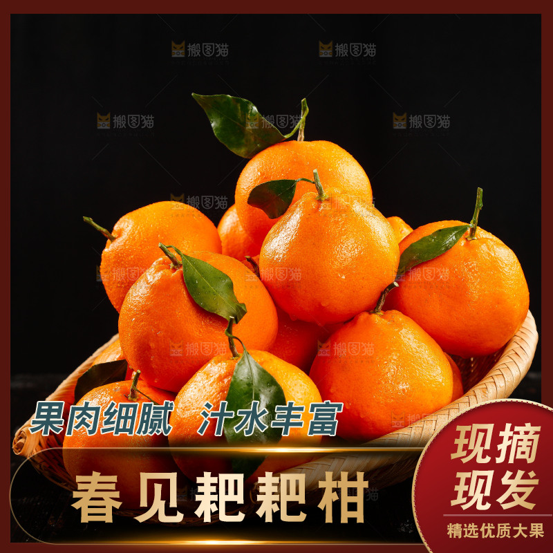 篮子里装着新鲜耙耙柑