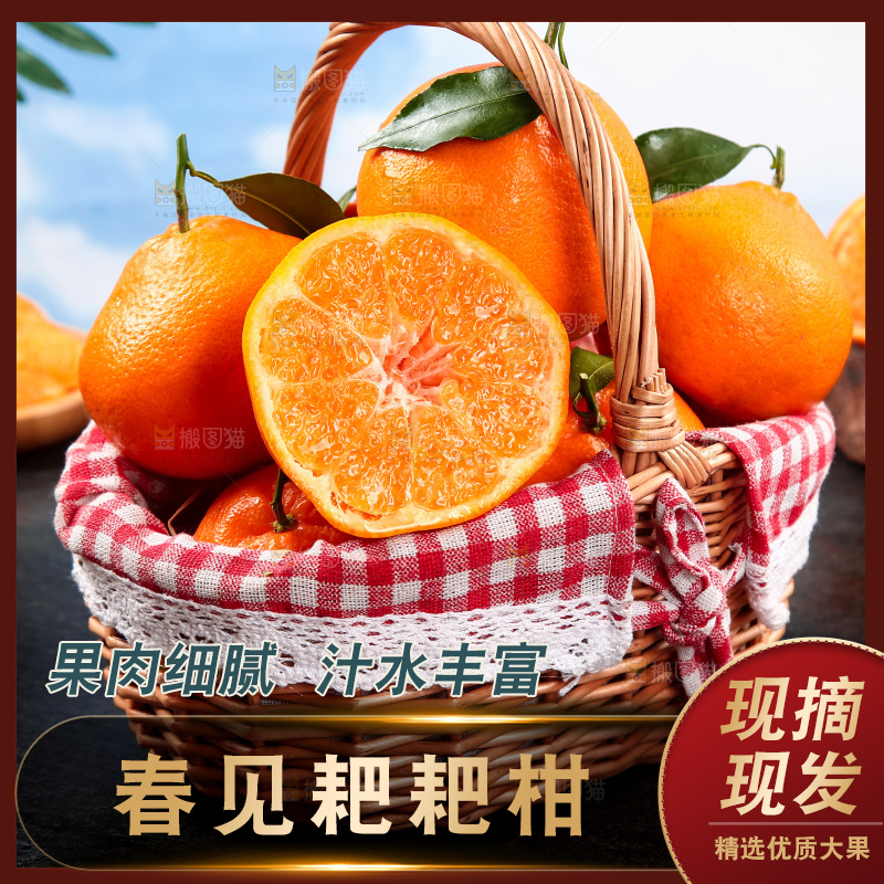黑底上放着一篮春见耙耙柑