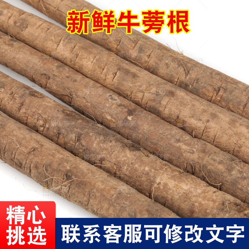 白底上的牛蒡根