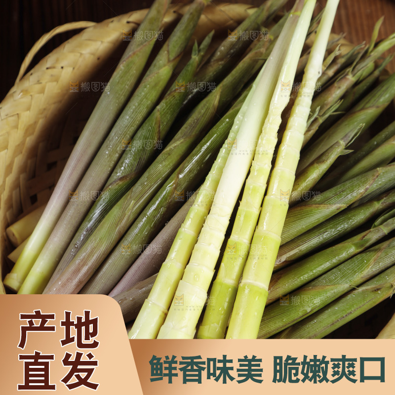 篮子里装着小春笋