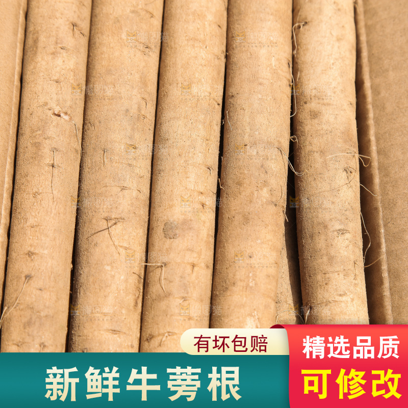 箱子里装着牛蒡根