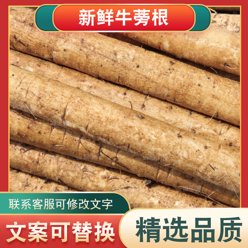 地里放着黄皮牛蒡根