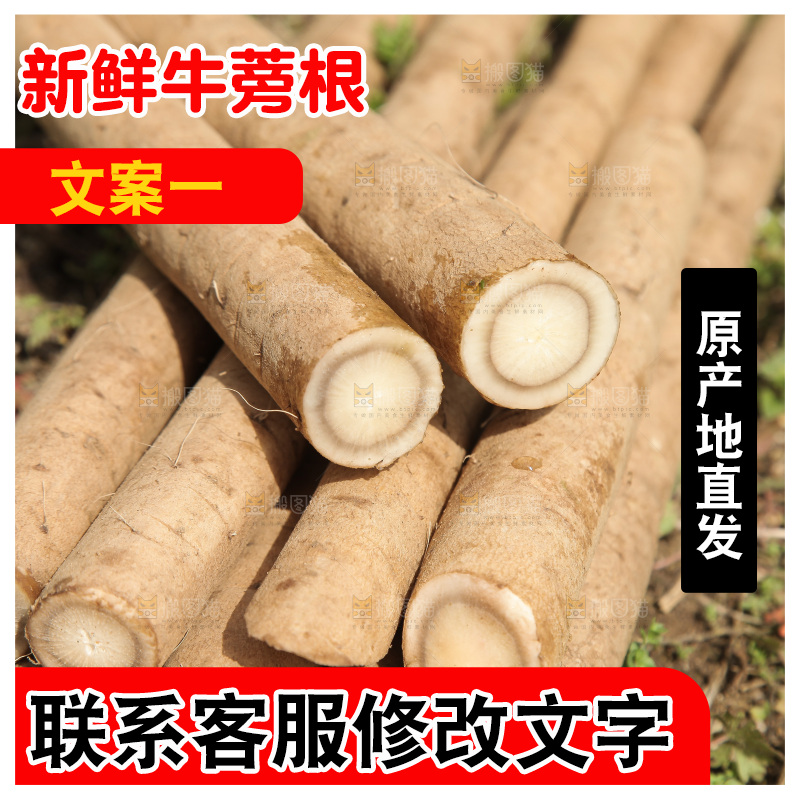 地里放着黄皮牛蒡根