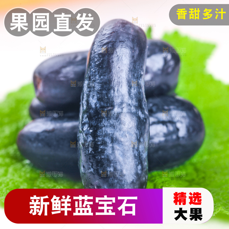 叶子上的美人指葡萄