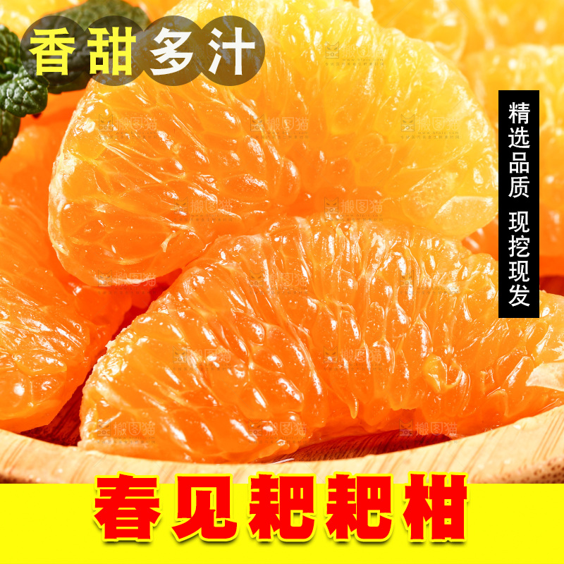碟子里装着春见果肉