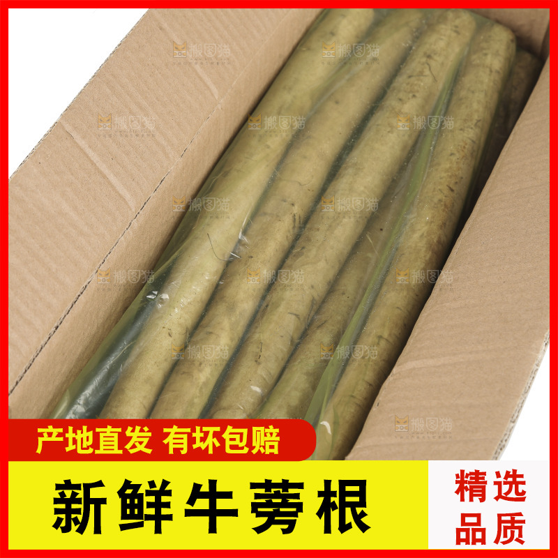 白底上放着一箱新鲜牛蒡根
