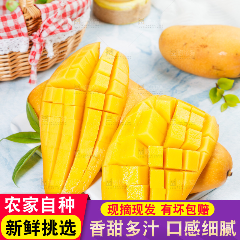 石板上放着新鲜金煌芒