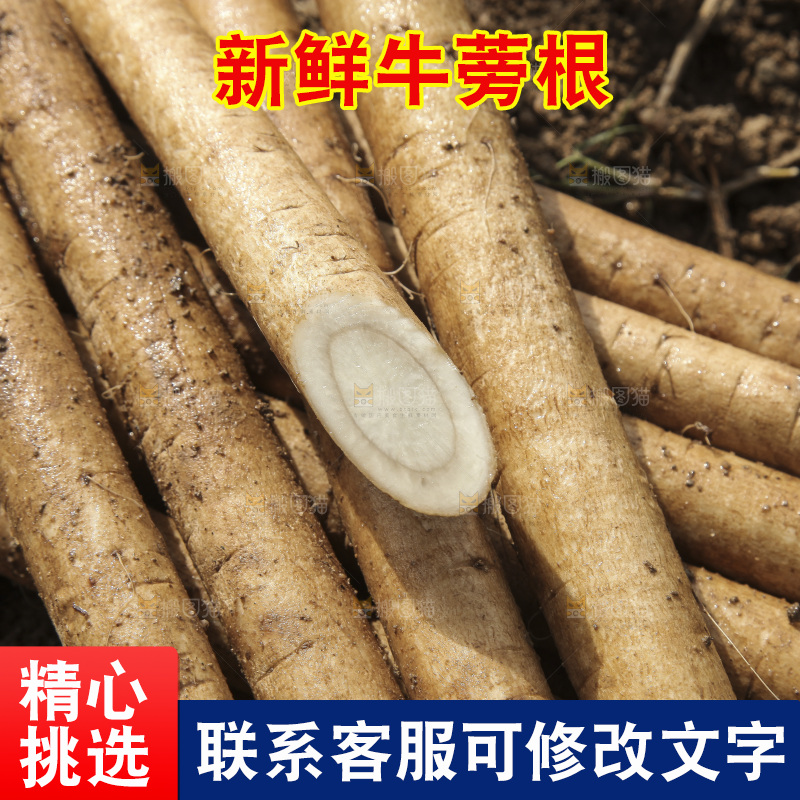 地里放着黄皮牛蒡根