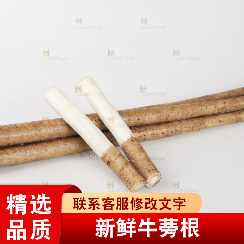 白底上的牛蒡根
