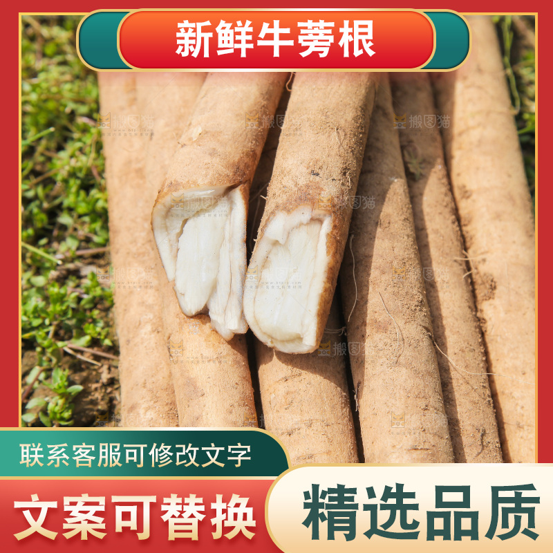 地上放着鲜牛蒡