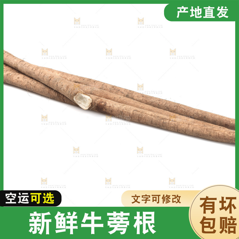 白底上的牛蒡根