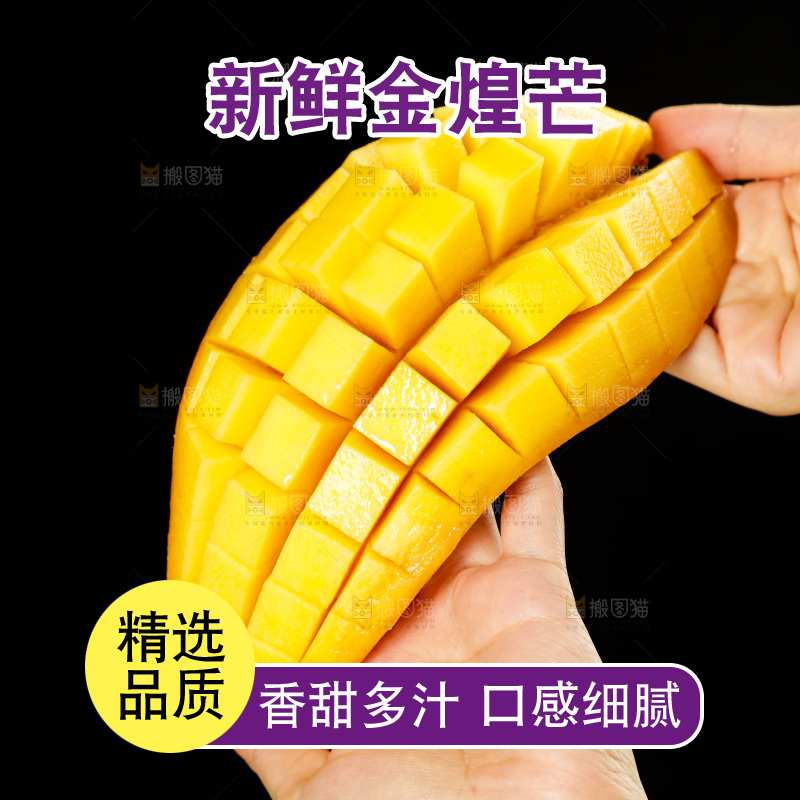手里拿着金煌水仙芒