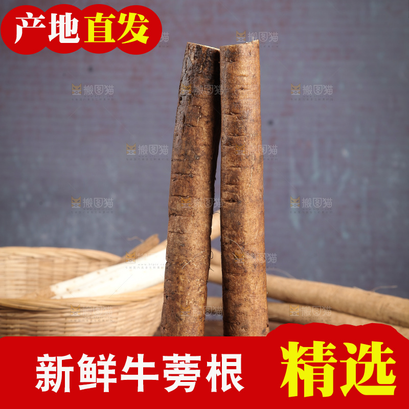 木底上的黄皮牛蒡根