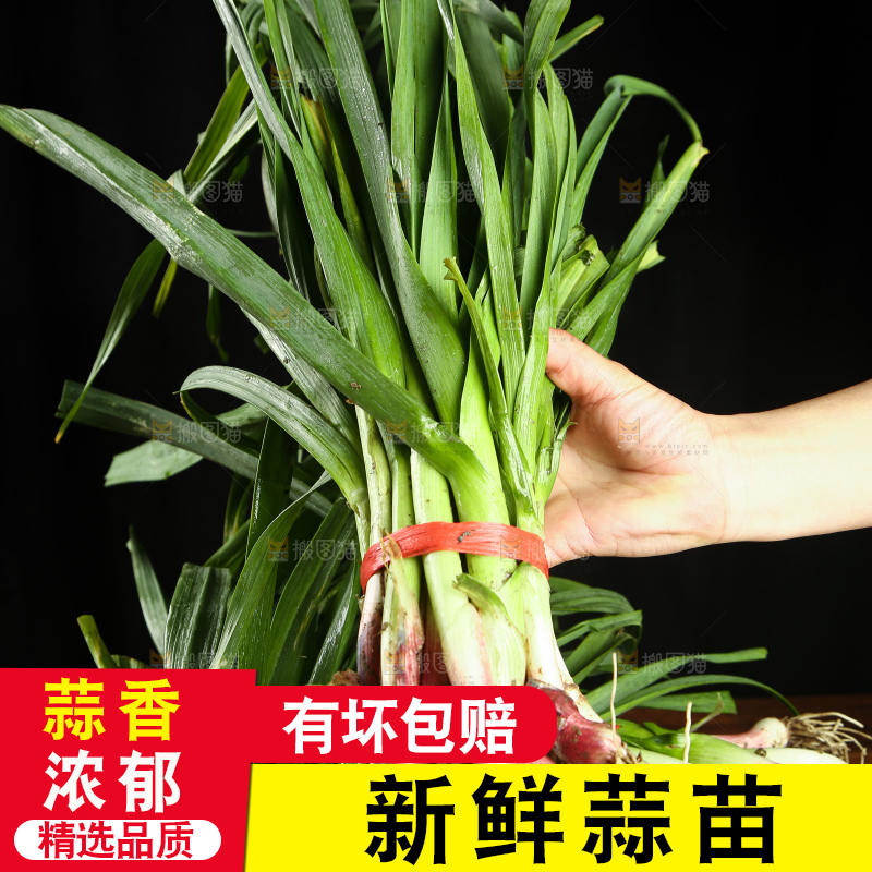 手上拿着蒜苗