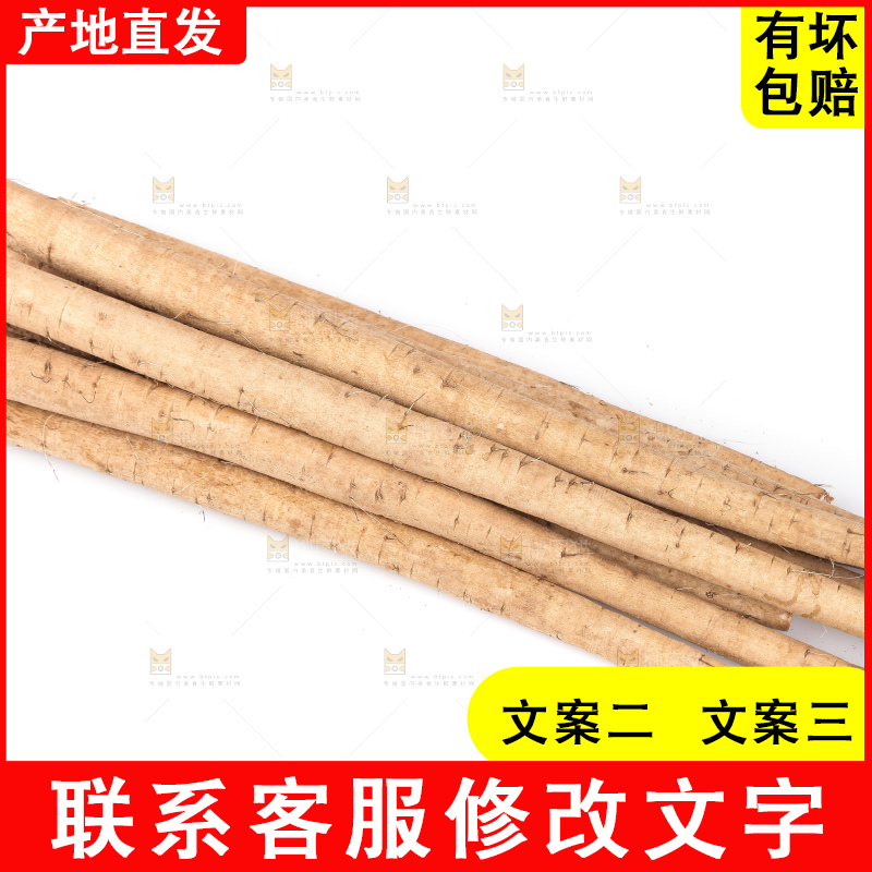 白底上的牛蒡根