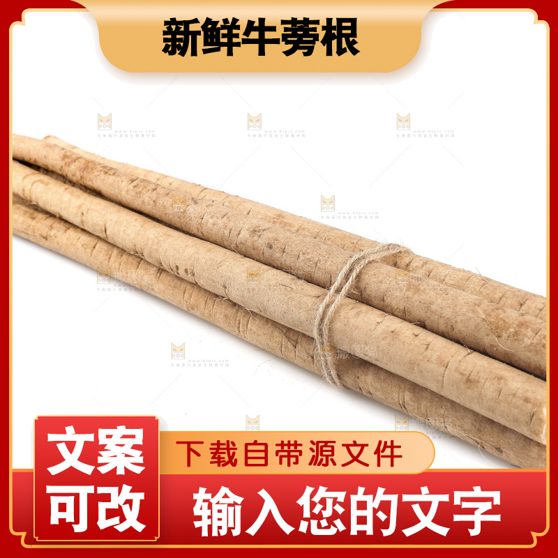 白底上的新鲜牛蒡根