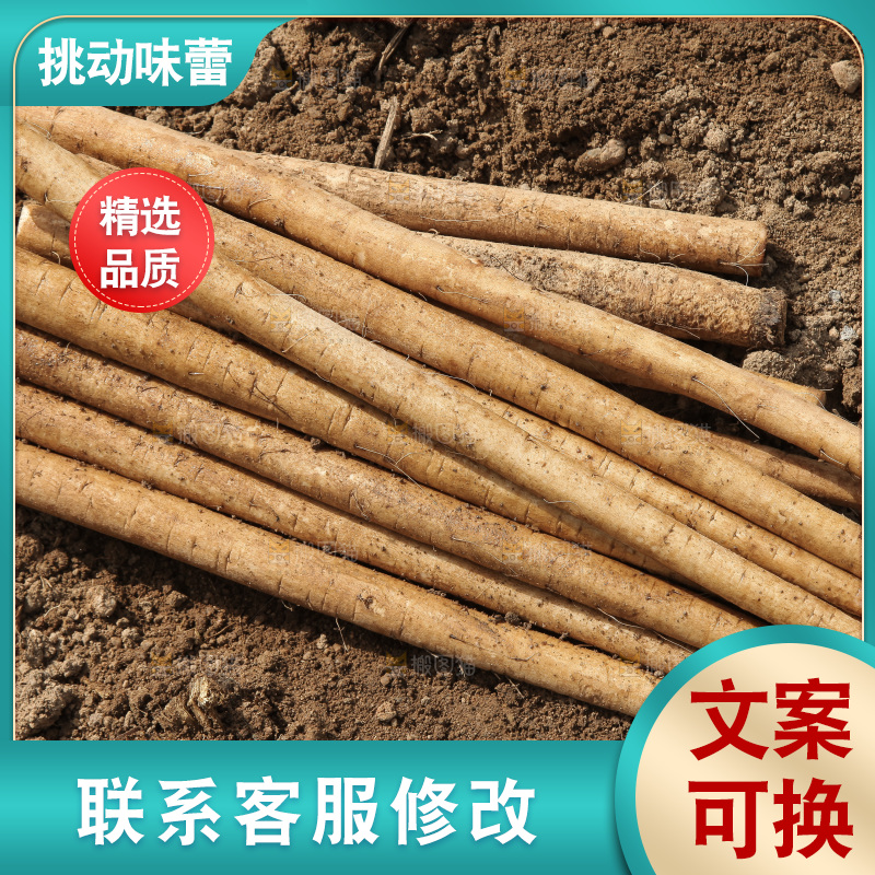地上放着牛蒡根