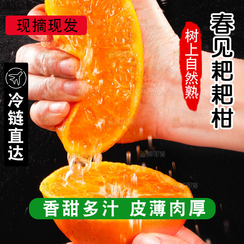 手里捏着春见耙耙柑