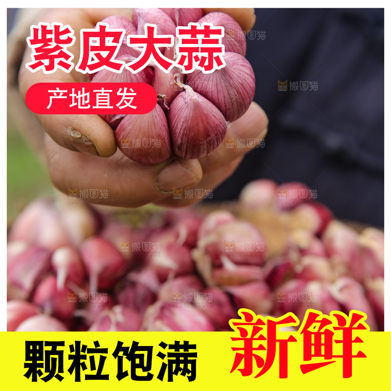 手里拿着多瓣蒜
