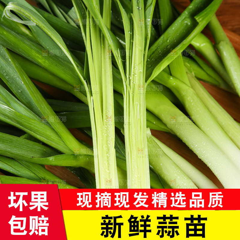 木底上放着大蒜苗
