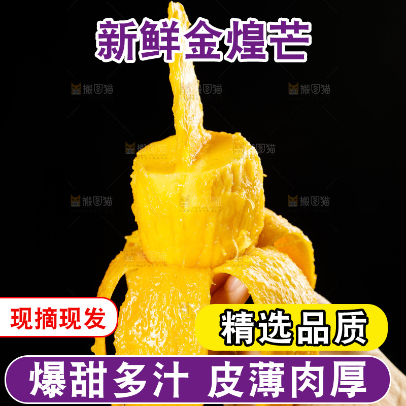 手里拿着金煌水仙芒