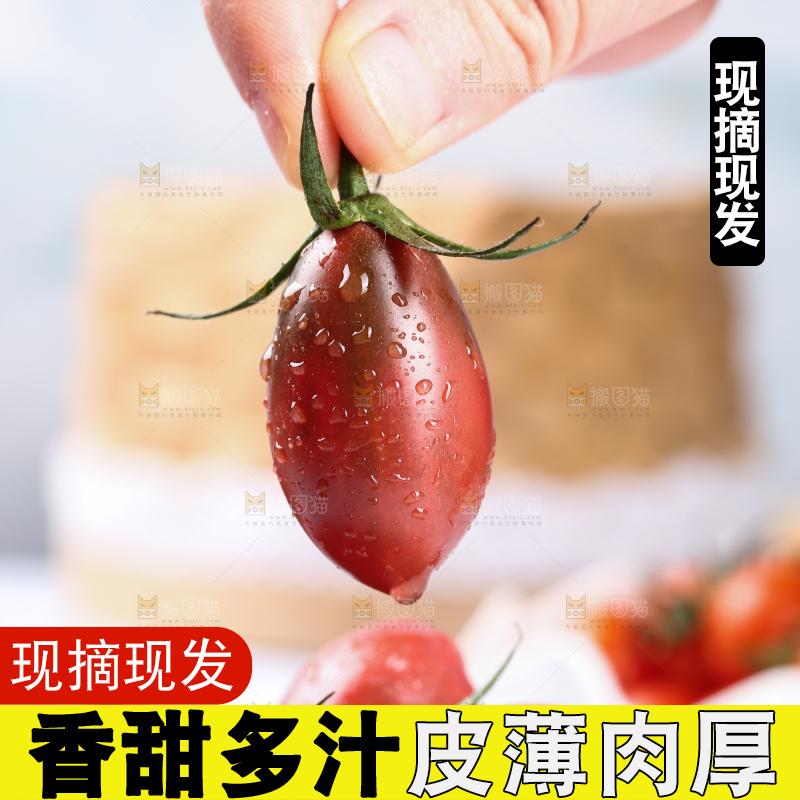 手里拿着小番茄