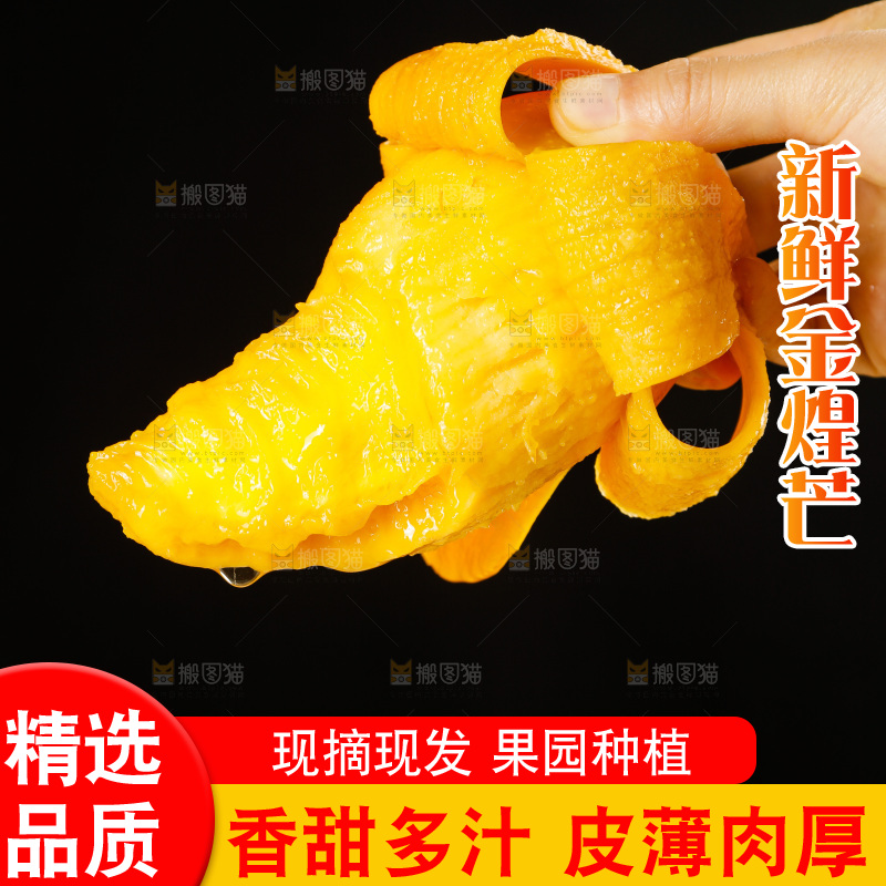 手里拿着金煌水仙芒