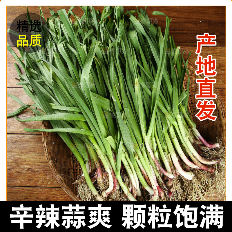 木底上放着一篮大蒜苗