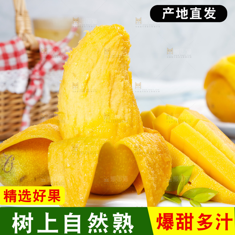 白石板上的水仙芒