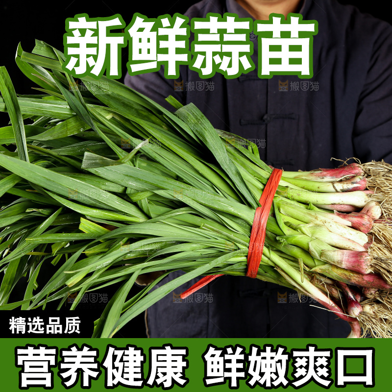 手里拿着大蒜苗