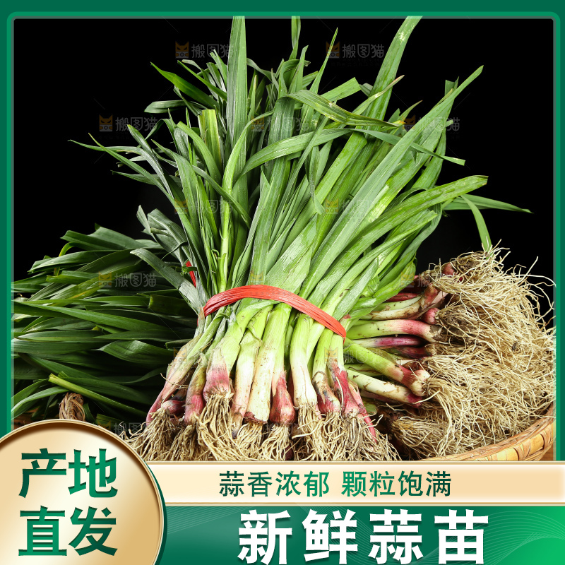 木底上放着一篮红皮蒜苗