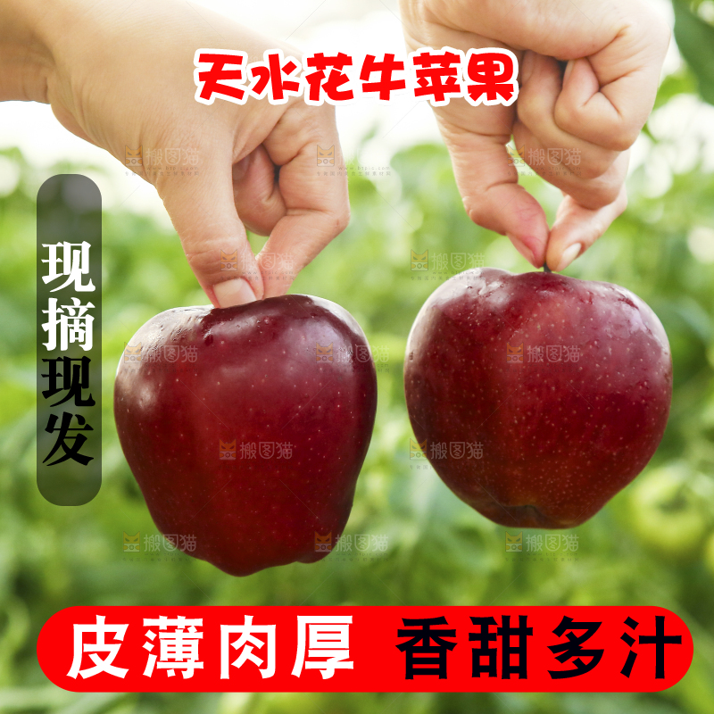 手里拿着花牛苹果