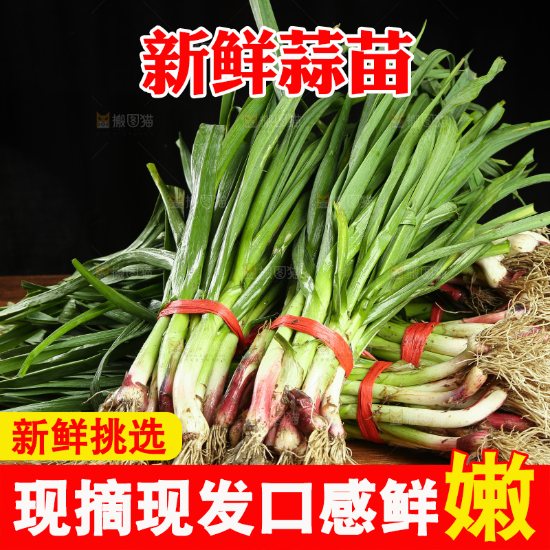 木底上放着一堆大蒜苗