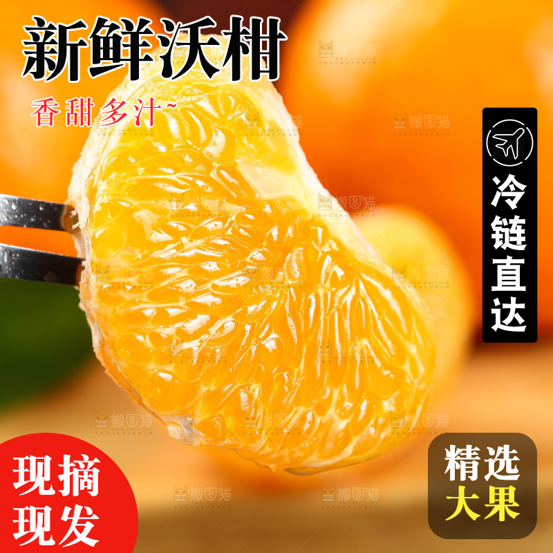 叉子上插着沃柑果肉