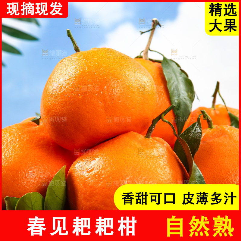 篮子里的耙耙柑