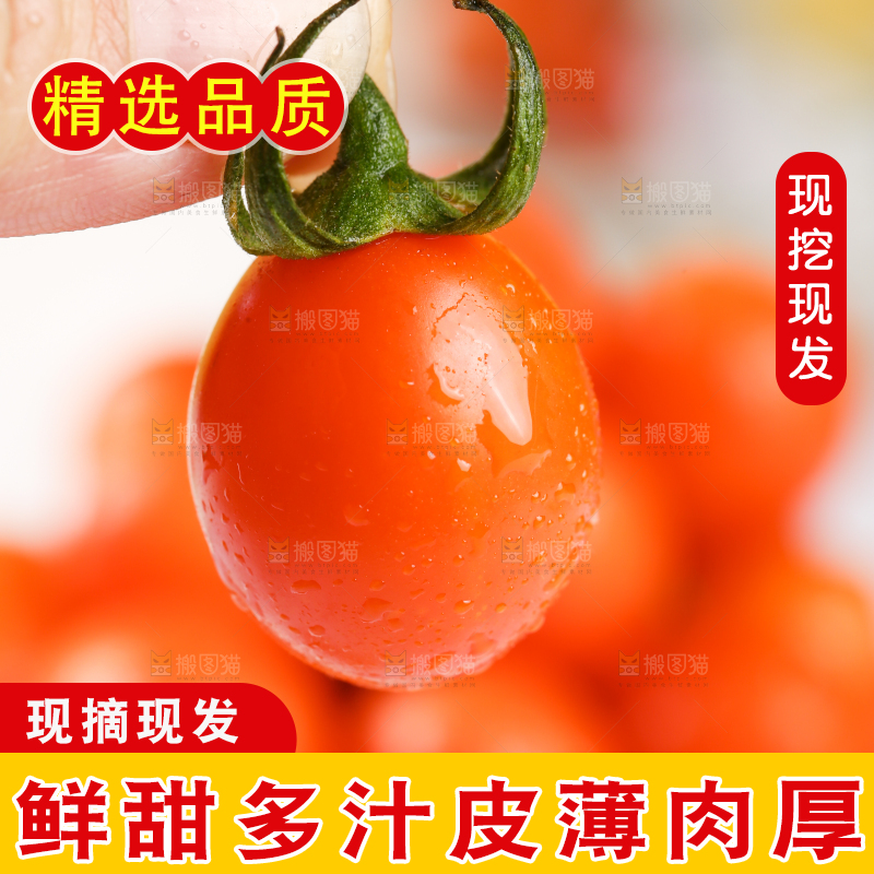 手里拿着小番茄