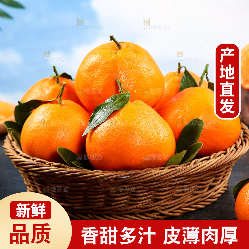 黑底上放着一篮春见耙耙柑