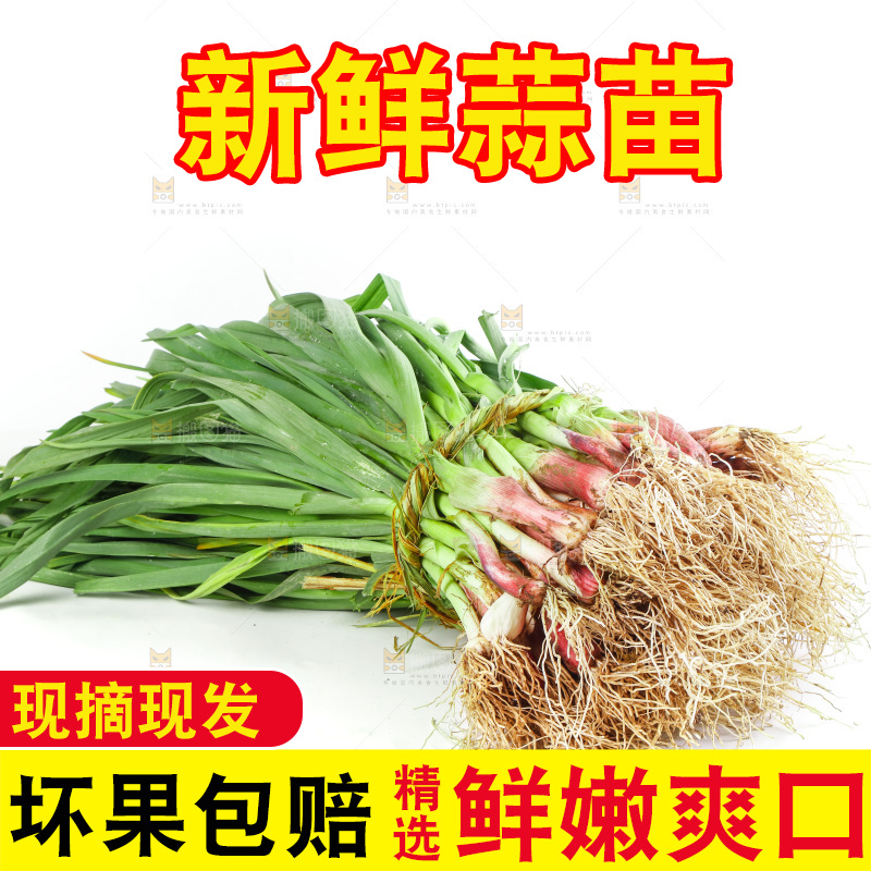 白底上放着一捆蒜苗