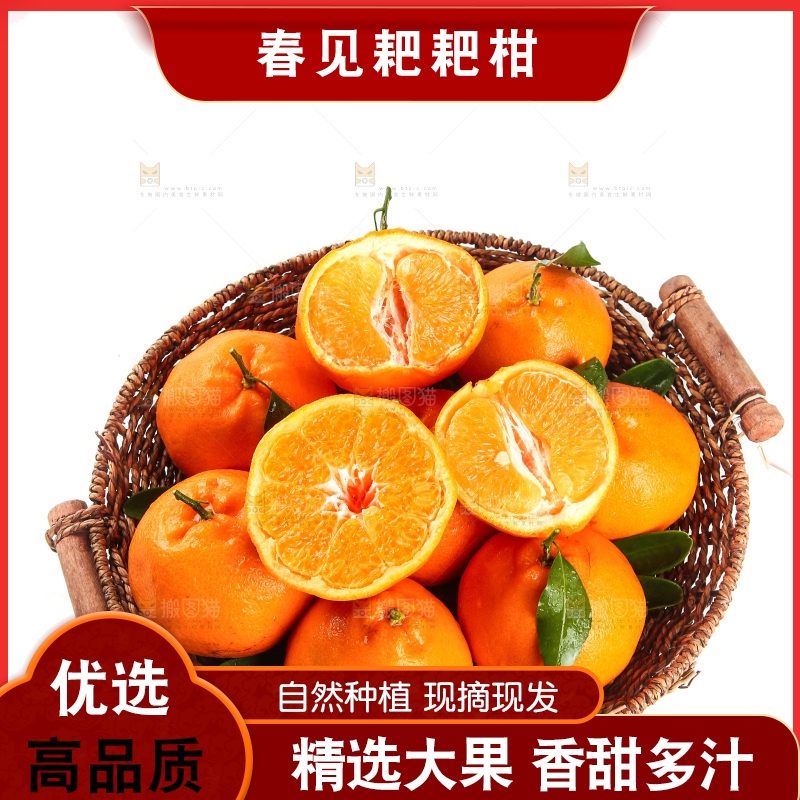 篮子里装着四川春见耙耙柑