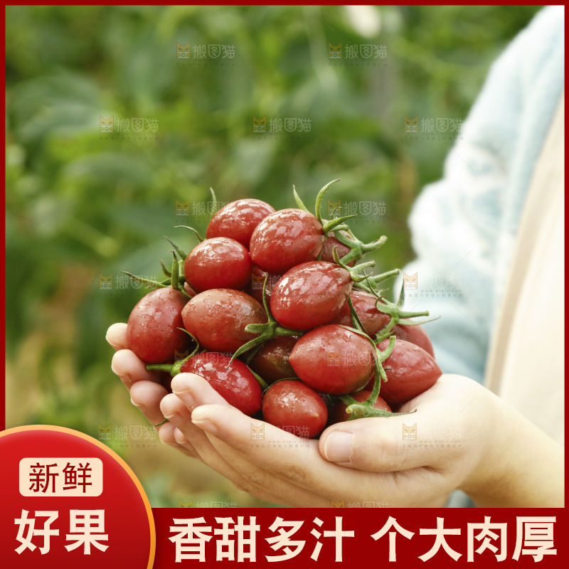 手里拿着珠珠小番茄